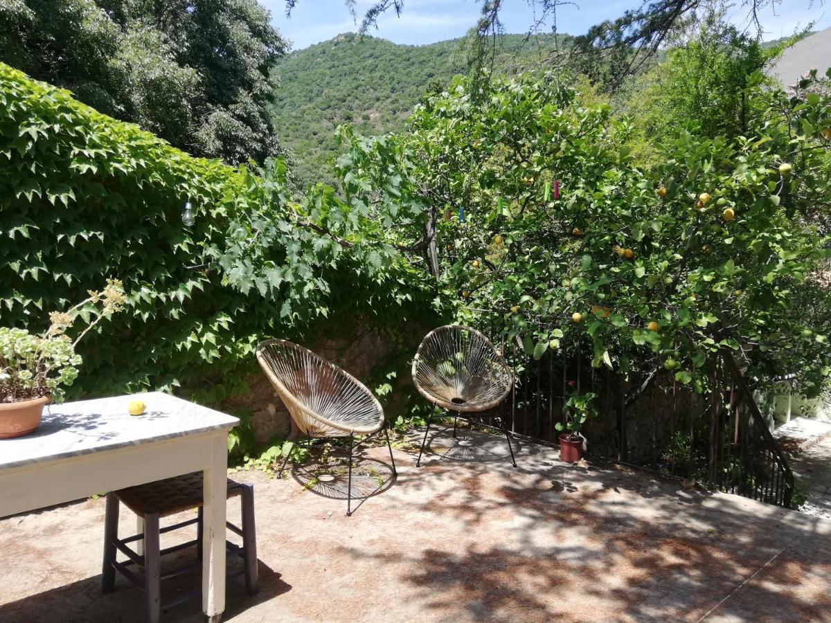 B&B San Gregorio Sinnai エクステリア 写真